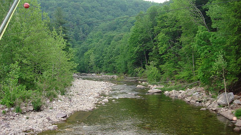 Loyalsock Senic5.JPG